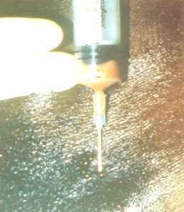 Discount viagra online