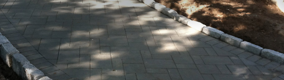 Express viagra delivery